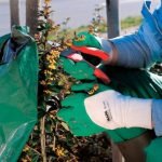 GUANTE DE ALGODÓN CON LÁTEX VERDE EN PALMA Y MEDIO DORSO - Image 4